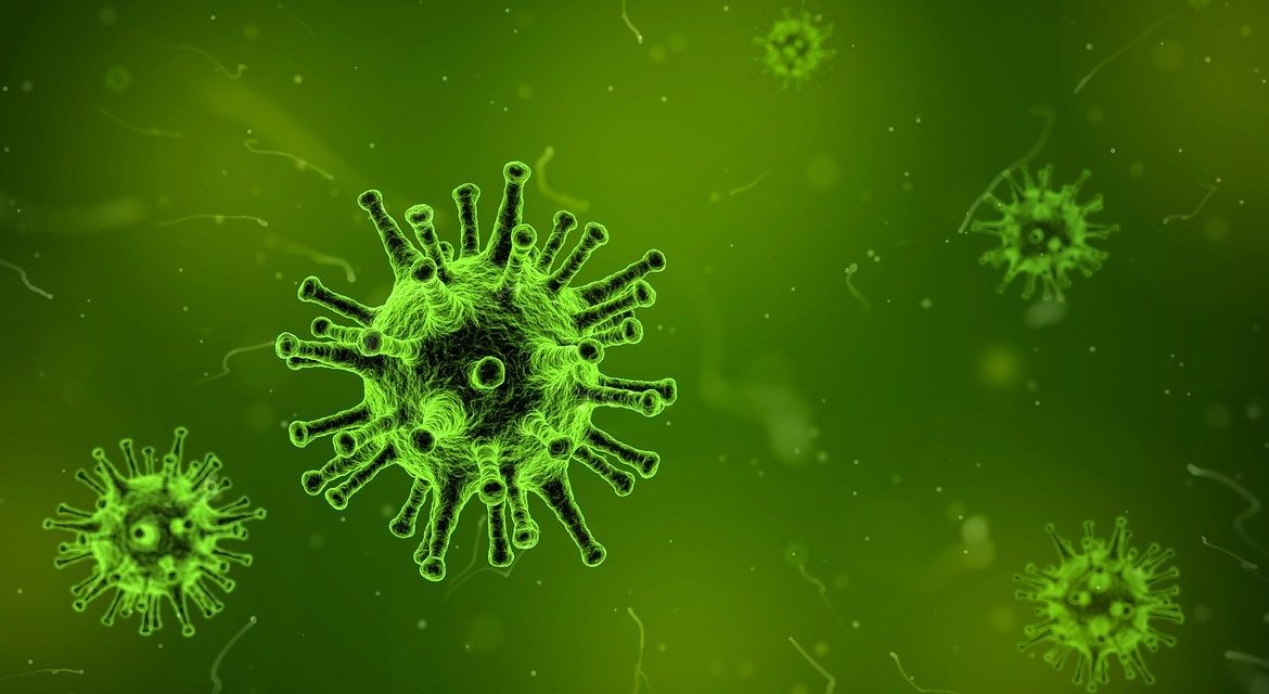 [img.1] Gambar Mikroskopik Virus